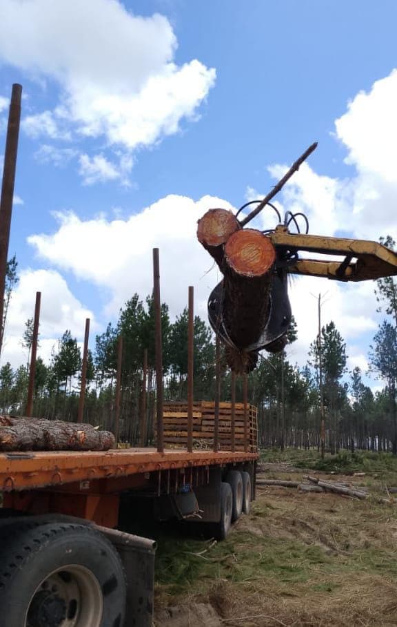 Loading with a hydraulic grapple
