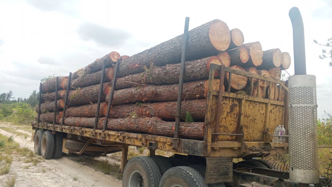 Loaded flatbed, ready to leave